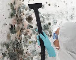 Clay, CA Mold Removal & Remediation Company